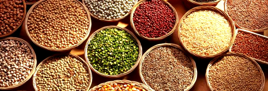 Grains